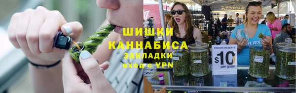гидропоника Богданович