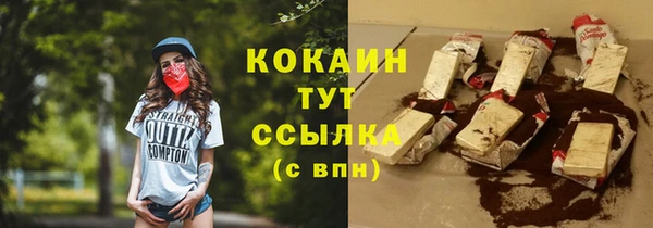 дживик Няндома