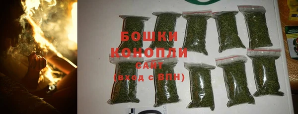 эйфоретик Богородск