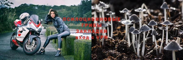 а пвп мука Богородицк