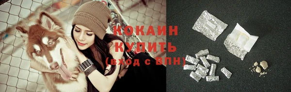 гидропоника Богданович