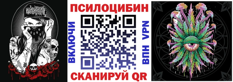 Псилоцибиновые грибы Psilocybe darknet Telegram Тамбов